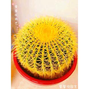 ���������҃����Ի����̖���������߼�����ֲ��Ʒ�N��ȫ��ݗ��