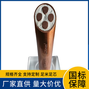 �S�r��BTTZ BTTYZ BTTVZ 3x16+1x10 25 35 50 70ƽ�����Է�����|