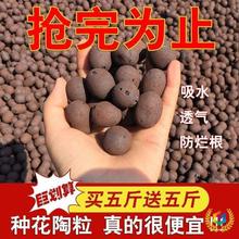 陶粒垫底养花种花铺面石回填卫生间水培颗粒多肉土陶土粒网兜