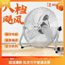 ĮʽLȴʴLſȂ}̵ùS