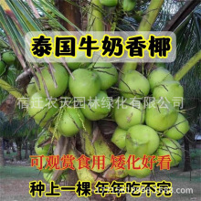 ���玧Ҭ��������Ҭ������Ҭ���� ��Ҭ���� ͥԺ�Nֲ�Gֲ�@ˇ���G