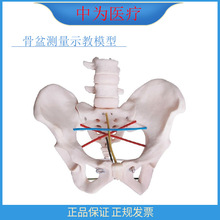 �О��t�����]��������t�ùǿƽ̌WӖ����Ʒ����y��ʾ��ģ��