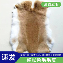 现货整张兔皮家兔毛皮一体原料DIY材料女装内胆护膝坐垫批发