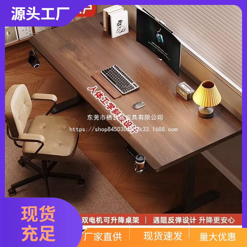 Electric Adjustable Table, Computer Desk, Desktop Home Desk, Study Table, Bedroom Gaming Table, Office Desk, Workbench