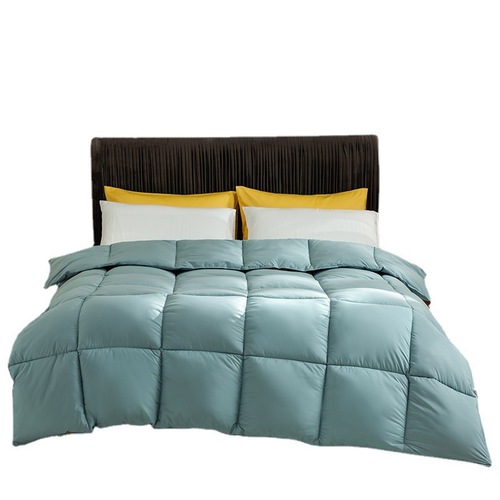 Hilton down quilt 95 white goose down quilt core thickened warm quilt hotel special gift winter quilt on behalf of