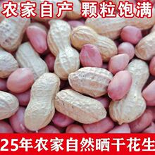 2025컨2503rɎƤԭζƤ