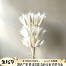 ��β�ݸɻ������͏d�b[��ins�L ��@�L���������ϲ�ɫ��β�Ͳ�