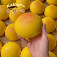 С�t�������ܛ�̰����������o�����؏��≺�lй�������