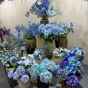 �{ɫϵ��Y���滨��c�F���b��û��Ĳ���׃�ο��؏�ʹ�û����l