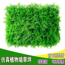 ƺƾGb滨ȼϾGֲٲƤ