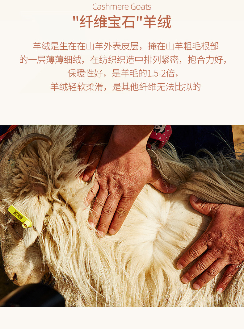 毛绒面料详情---副本_04