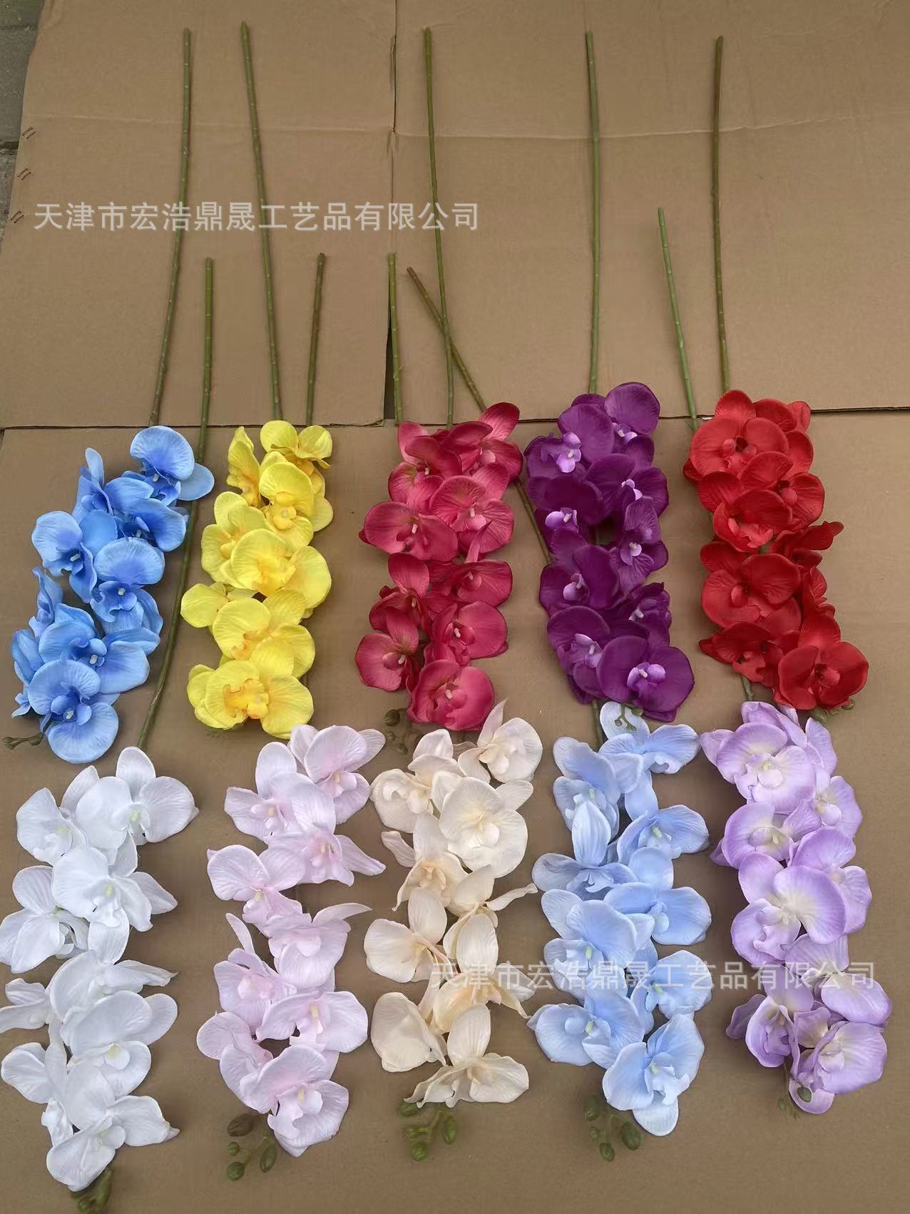 96ad5ccb9e826dd333927caee48786