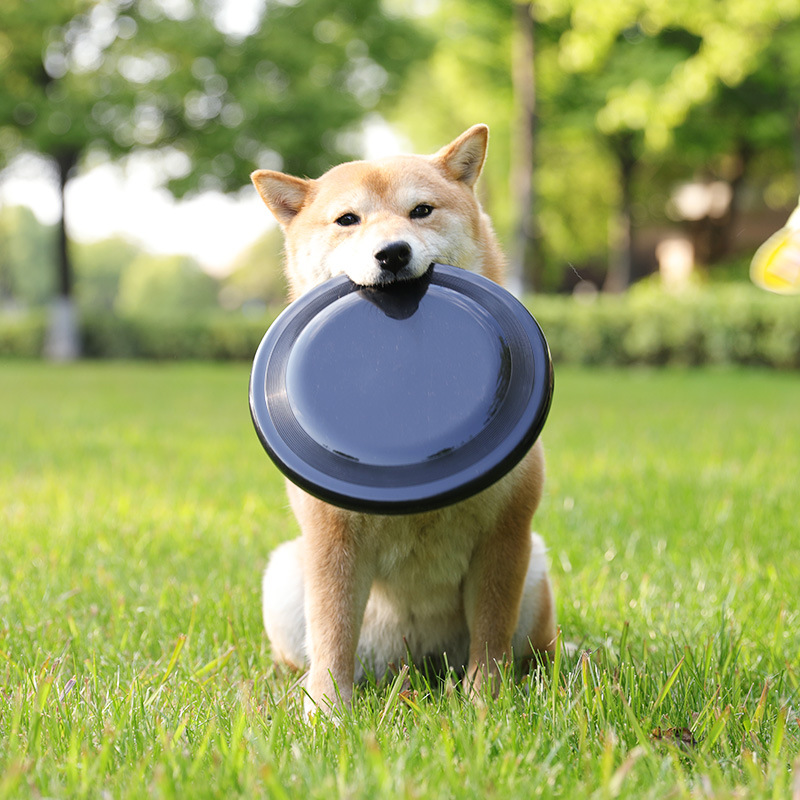 Frisbee para perros, entrenamiento de perros, EVA transfronterizo especial, juguetes interactivos para mascotas flotantes al aire libre, platillos voladores suaves y fáciles de lanzar al por mayor