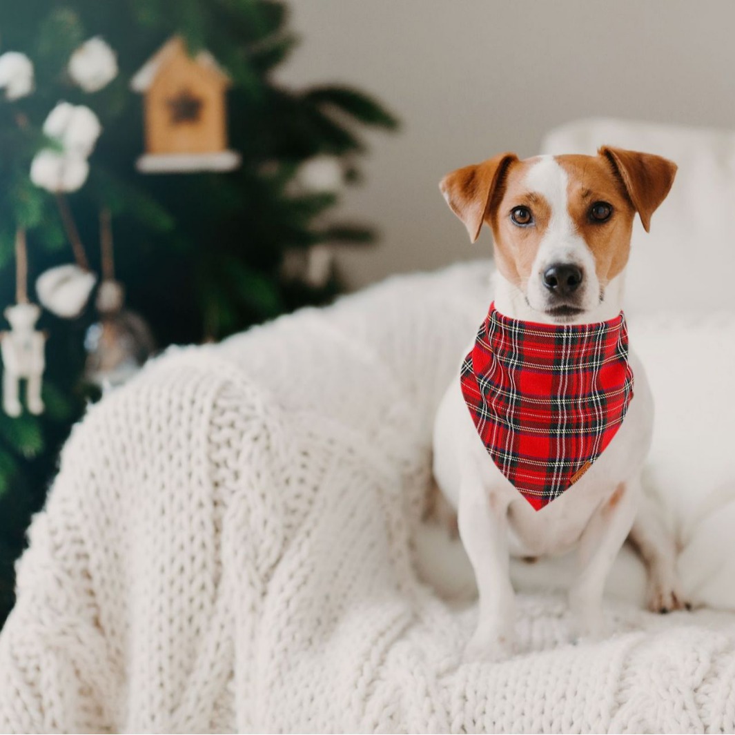 Navidad transfronteriza mascota saliva toallas triangulares para perros y gatos de Navidad especial bufandas triangulares a rayas al por mayor