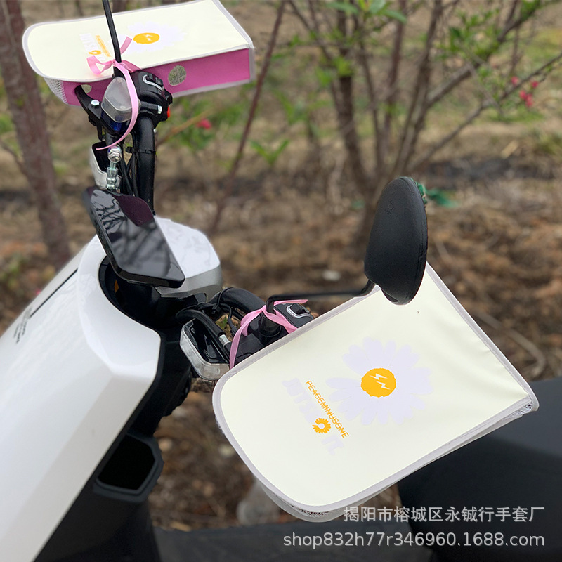 국화 골든 옐로우