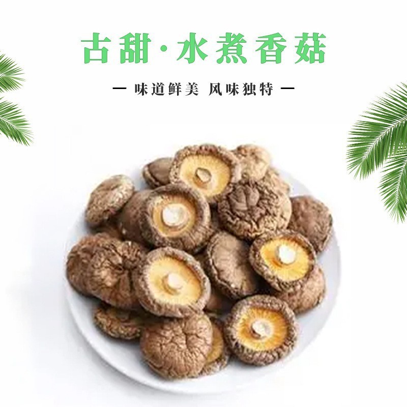 古甜 干香菇 源头厂家蘑菇干货 500g菌菇散货椴木香菇干香菇批发