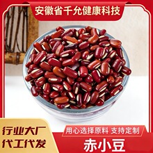 ����؛������С�� �t�ඹ�s�Z�L���t������޲���ඹ�{�ּZ��؛