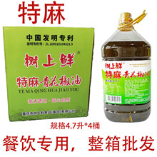 ��������r�ٽ����齷���໨���������Ĵ��hԴ����������Ͱ�b4.7L