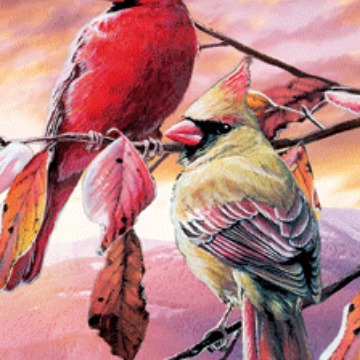 光栅胶片服装吊牌卡印刷厂生产各种立体吊牌,裸眼3D吊牌印刷