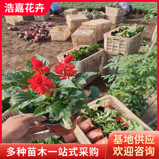 һ���t ɽ�|���ݴ�������һ���t�����N�ݻ� �r��ݻ���Ԫ��[