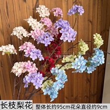 ���滨�滨�ѻ�֦�һ�֦�U��廨�Gֲ�ٻ��b[��������������