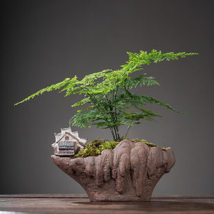 �����մɰlؔ�䮐�λ����ļ�̦�\΢���^���B��������һ���׾Gֲ