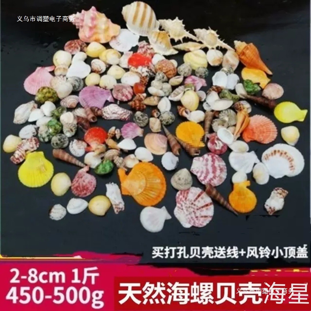 天然海螺贝壳海星 鱼缸造景寄居蟹打孔儿童手工相框风铃漂流瓶