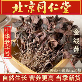 精品金线莲500g克福建金线莲野生新鲜干品金钱莲养生茶真货真货