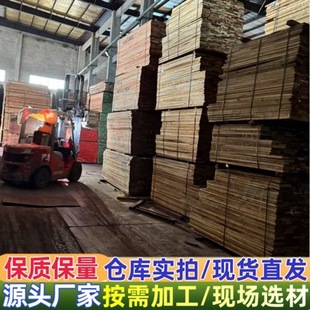 �t����ľ ��ľ ���� ���ǹ� ��zӰľ �t����ľ ����ľ �ɰ��