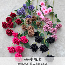 ��Ʒ6�^С��õ ����Сõ���Y���ŷ��滨�b����Ԕ[���Ҿ��bz