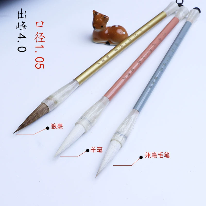 От имени волчьей овцы и волосатой волчьей кисти обычный скрипт работает официальный скрипт Начинающий класс каллиграфии для взрослых пользовательская волосатая кисть