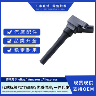 Factory Price F01R00A053 10163098 Ignition Wire Suitable for Rowell 950 1.8t Cross-Border Brand New