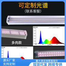 ?ȫ���VT8T20ֲ��������L��һ�w1.2�׻��ܜ��Ҽ����҃ȶ����a��