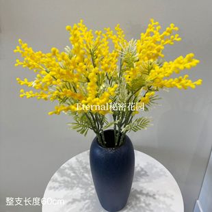 ���滨�j�Dֲ�q�ºϚg�Sɫ���Ľ����S��ֱ�N��˼���Ҿ�ֲ�����l