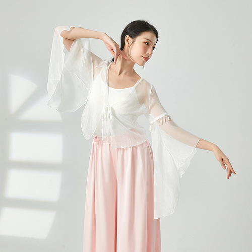 Classical dance dance clothing women's gauze Chinese dance fairy pearl elegant top performance clothing practice clothing