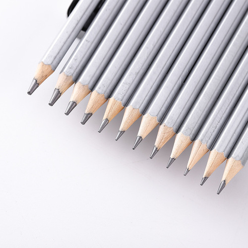 Dasheng sketch drawing pencil iron box 12 pieces 2H-8B professional art sketch pen drawing pen stationery wholesale