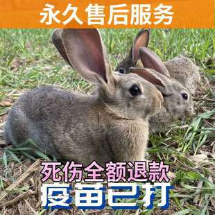 ���ӻ��wС���á�������������þ������������m���ñ����r����