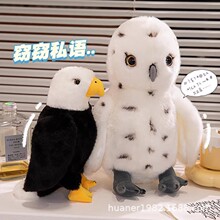 ���溣�����޵��а��^����ë�q���؈�^����ż�d������Ů������
