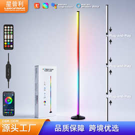 跨境热销简约幻彩双白光落地灯RGBIC音乐节奏即插即亮照明氛围灯