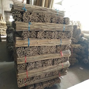 Factory supply of dried tea bamboo all kinds of small bamboo pole large price excellent welcome to inquire