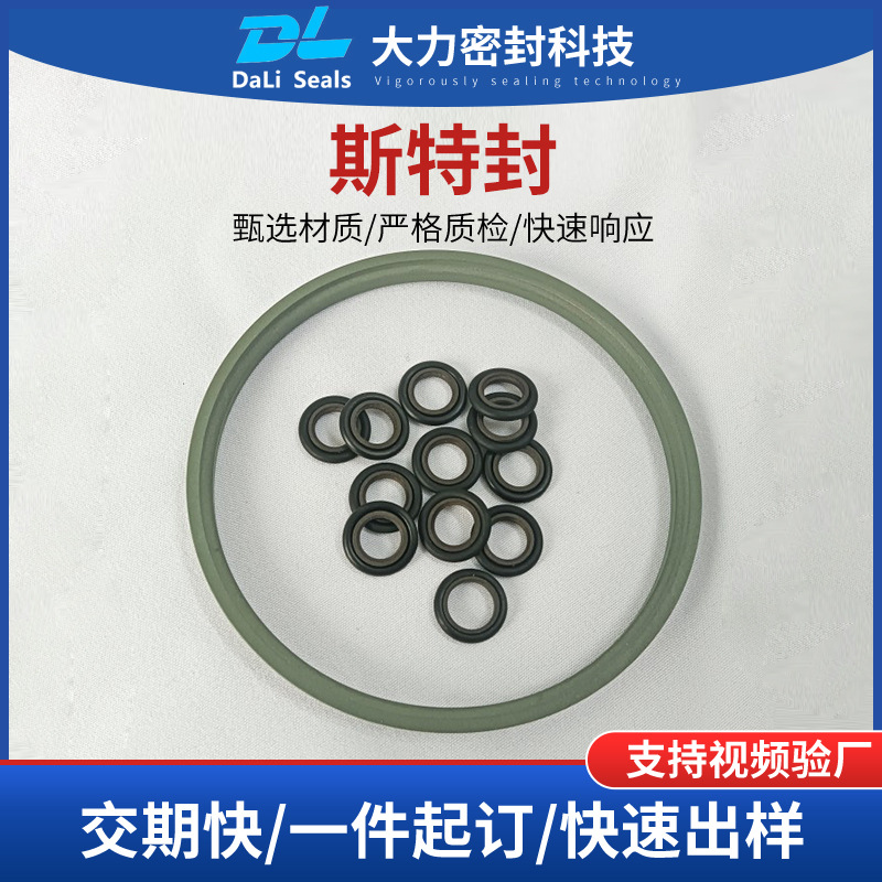 厂家直供斯特封轴用密封圈活塞密封四氟密封件旋转斯特封耐腐蚀