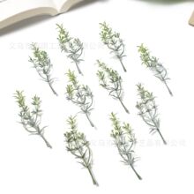 �F��ֲ�q�����Ե���֦�l �ֹ��ػ���޹�л�ˇ�c�Y����G�~���