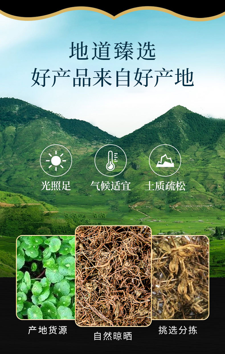 Ji Xue Cao (Centella asiatica) — Dried Food Herb, 500g Bulk, No Sulfur overview