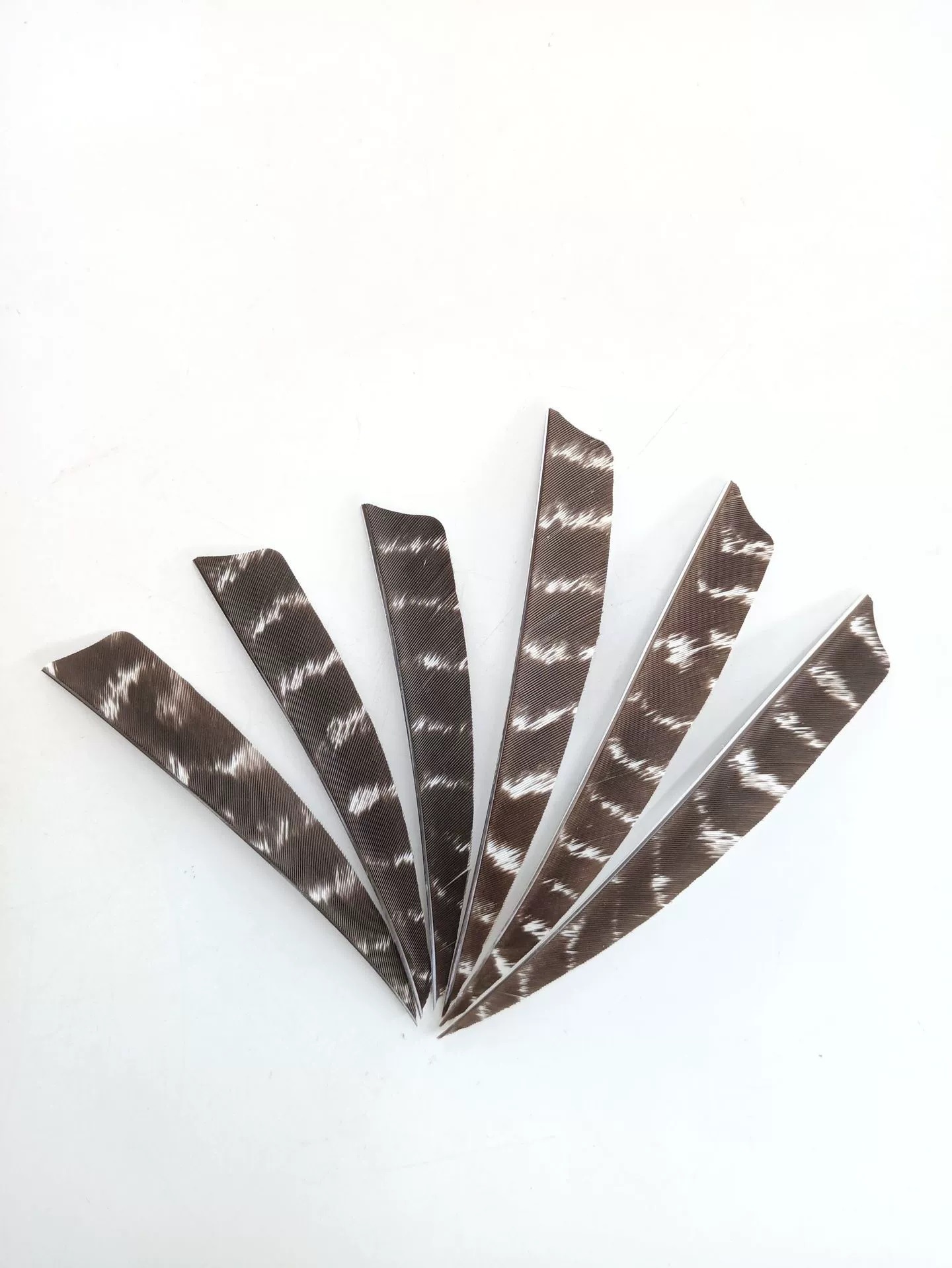 5inch 천연 칠면조 깃털 1개