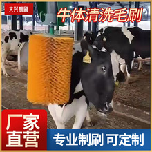 ȫԄӔ[ţwˢWˢţţĦˢ݁ţwϴëˢDĦˢ