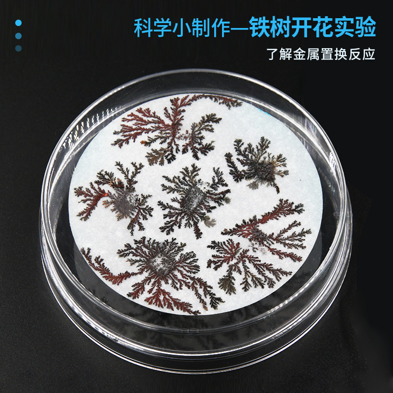 DIY Ironwood Flower Blooming Science Experiment Kit for Primary School Students DIY Teaching Aids Science and Technology Small Inventions Fun Chemistry Training Materials