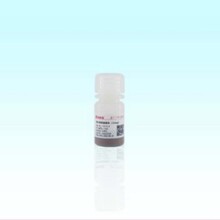 Beaver������Լ{���w��(400nm)10mL100mg/mL(�����F��	70311-10