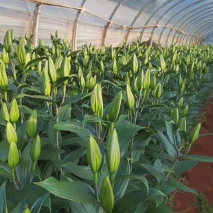 ��ϰٺϻ����r�л�����ă�����؛Դ֧�ִ��l�r�����ֱ�l