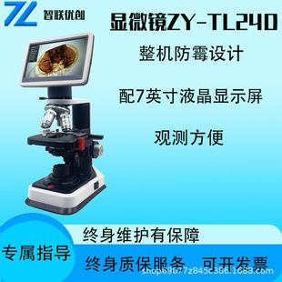 �����@΢�R ZY-TL24DҺ���@ʾ����W���r�I�̌W���� ����@΢�R