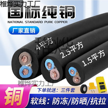 二芯電纜線2.5銅珠江電線兩芯家用軟線1/4/6平方延長電源護套線